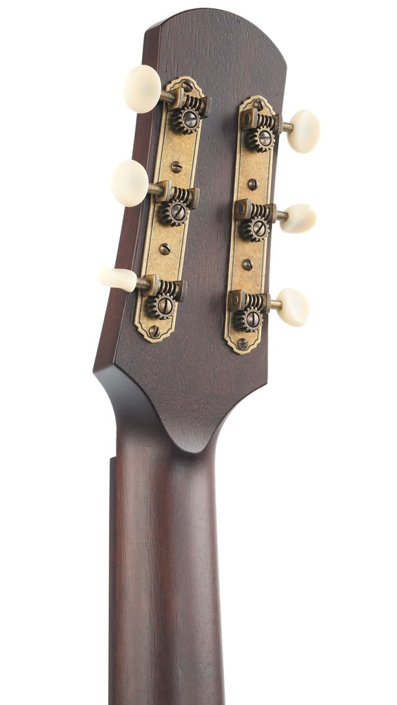 Iris DF Model Sunburst-5.jpg