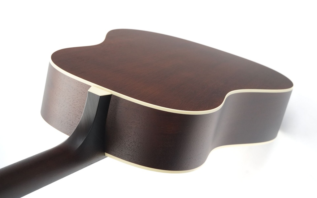 Iris DF Model Sunburst-9.jpg