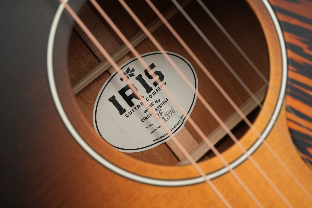 Iris DF Model Sunburst-11.jpg