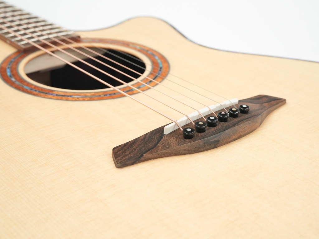 Furch Red Gc-SX a Bois de Rose Backstage LTD-10.jpg