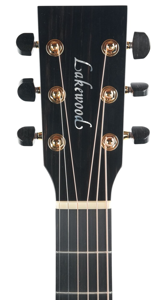 Lakewood M32CP LR Baggs Anthem Lefty-4.jpg