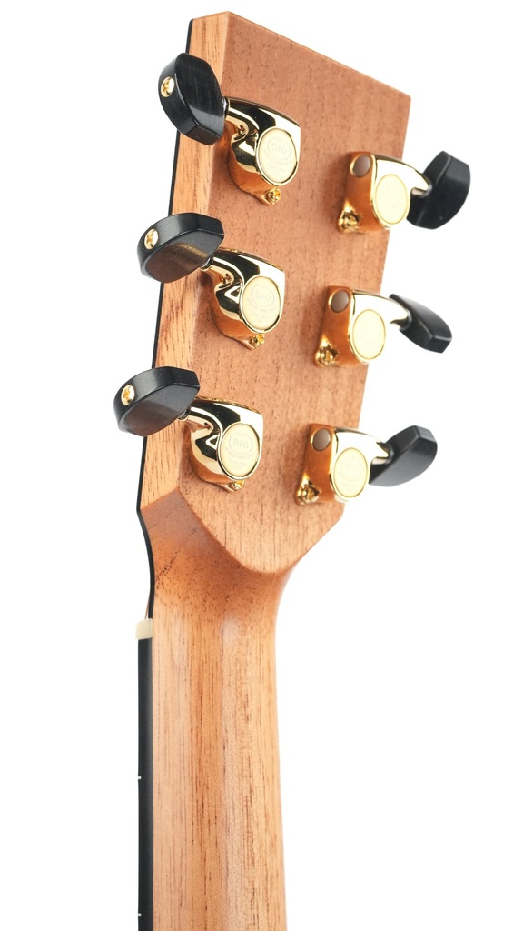 Lakewood M32CP LR Baggs Anthem Lefty-5.jpg