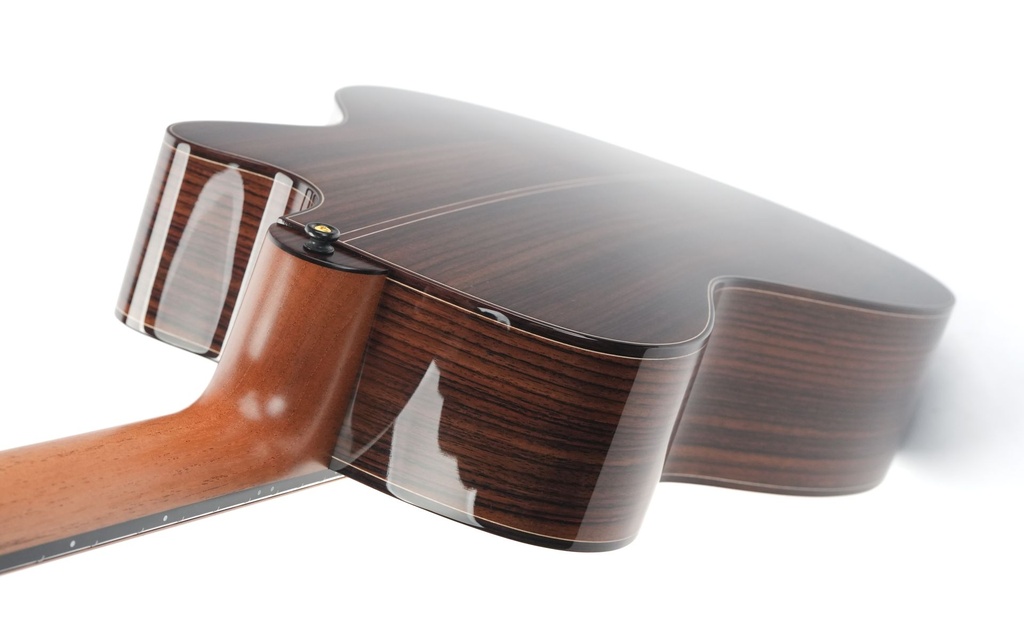 Lakewood M32CP LR Baggs Anthem Lefty-9.jpg