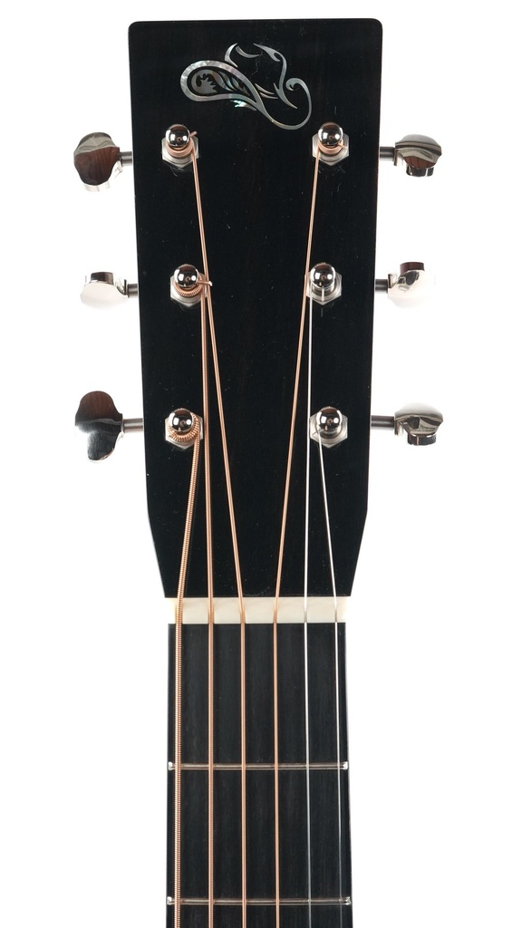 Santa Cruz B PW Brad Paisley Signature 2024-4.jpg