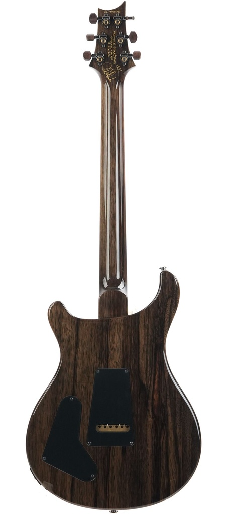 PRS Private Stock Special Semi Hollow Citrus Glow Ziricote Neck 2022-8.jpg