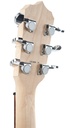 Deering Goodtime 6-String G6S-5.jpg