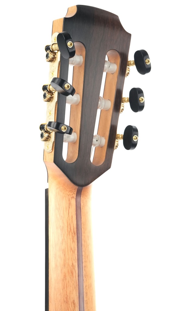 Lowden S50J Myrtle Adirondack-6.jpg