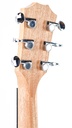 Taylor GS Mini-E Mahogany-5.jpg