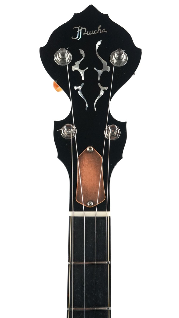 Prucha Diamond Point Banjo 2006-4.jpg