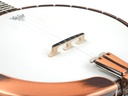 Prucha Diamond Point Banjo 2006-10.jpg