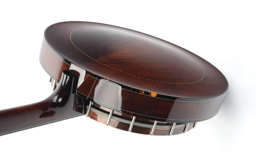 Prucha Diamond Point Banjo 2006-9.jpg