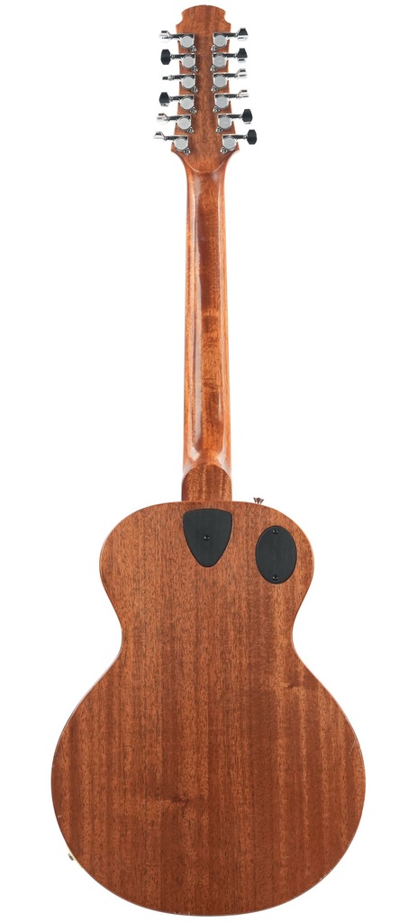 Stoney Creek Obsidian 12 String Hollowbody 2020-8.jpg