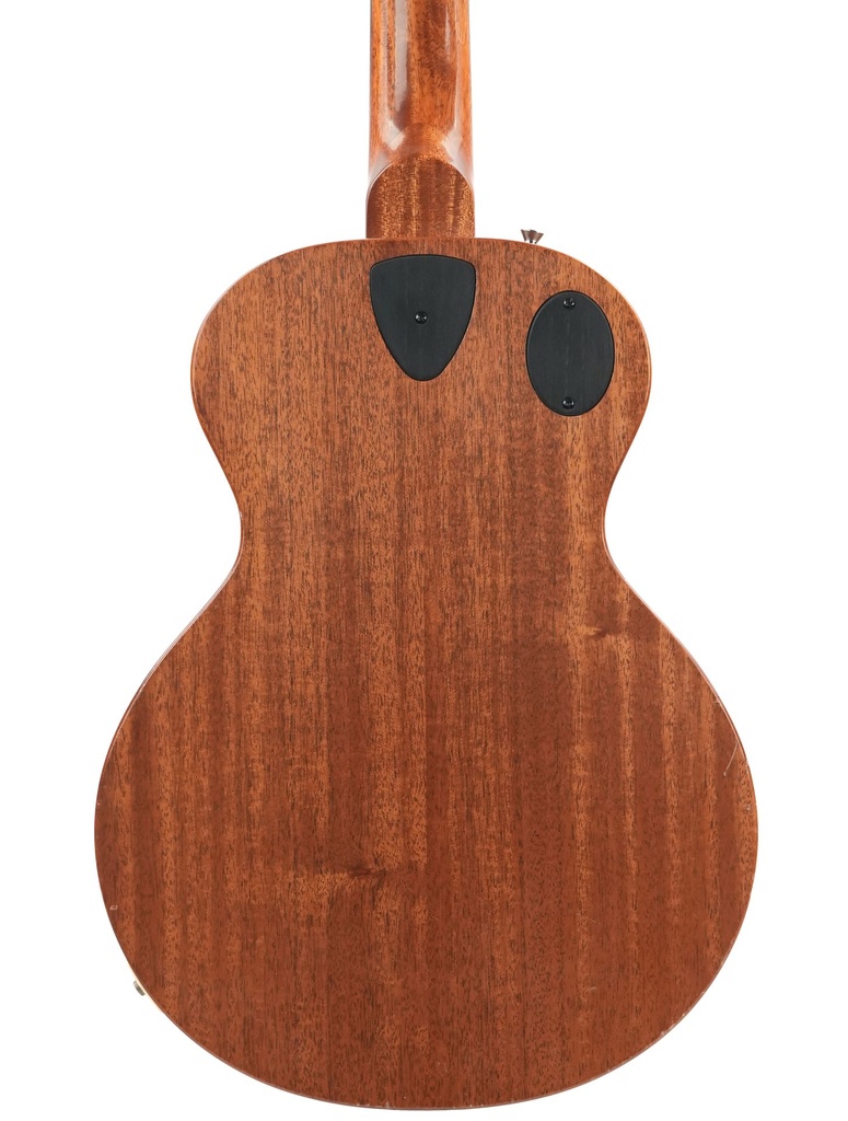 Stoney Creek Obsidian 12 String Hollowbody 2020-7.jpg