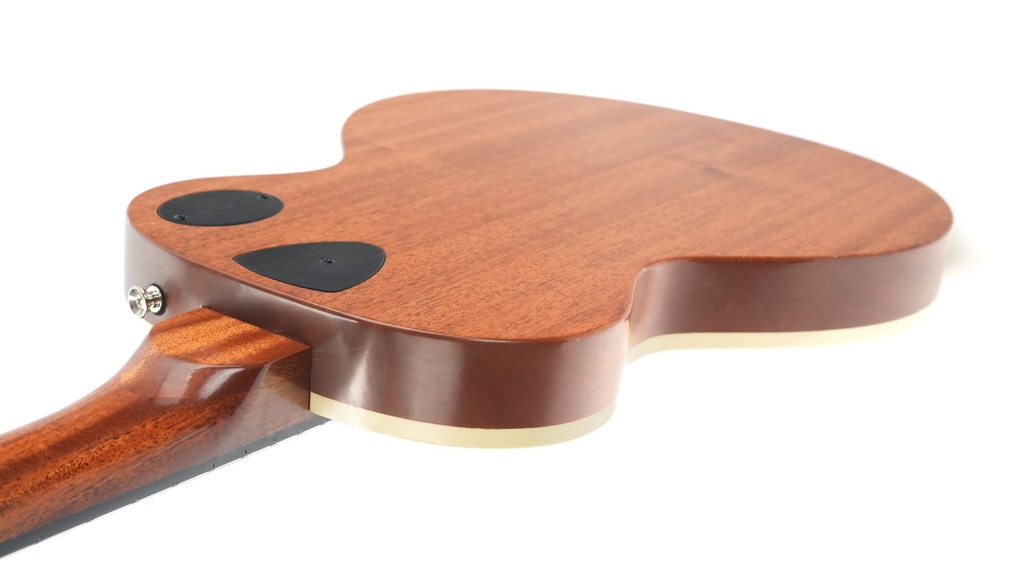 Stoney Creek Obsidian 12 String Hollowbody 2020-10.jpg