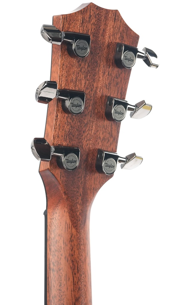 Taylor 814ce 2026-5.jpg