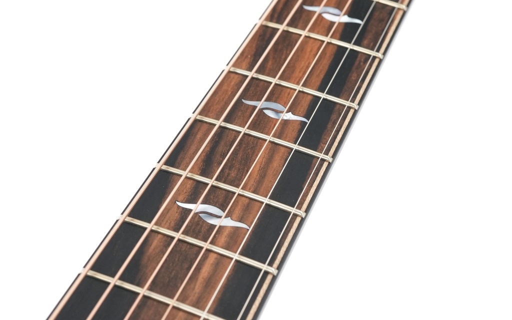 Taylor 814ce 2026-12.jpg