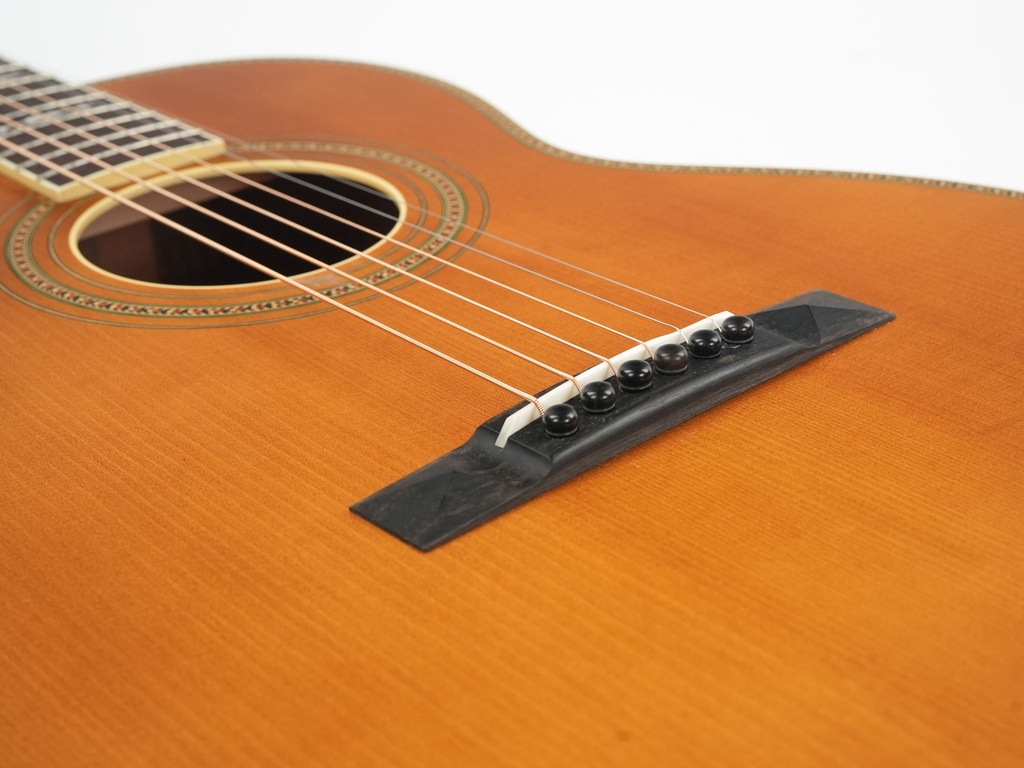 Waterloo WL-S DLX-10.jpg