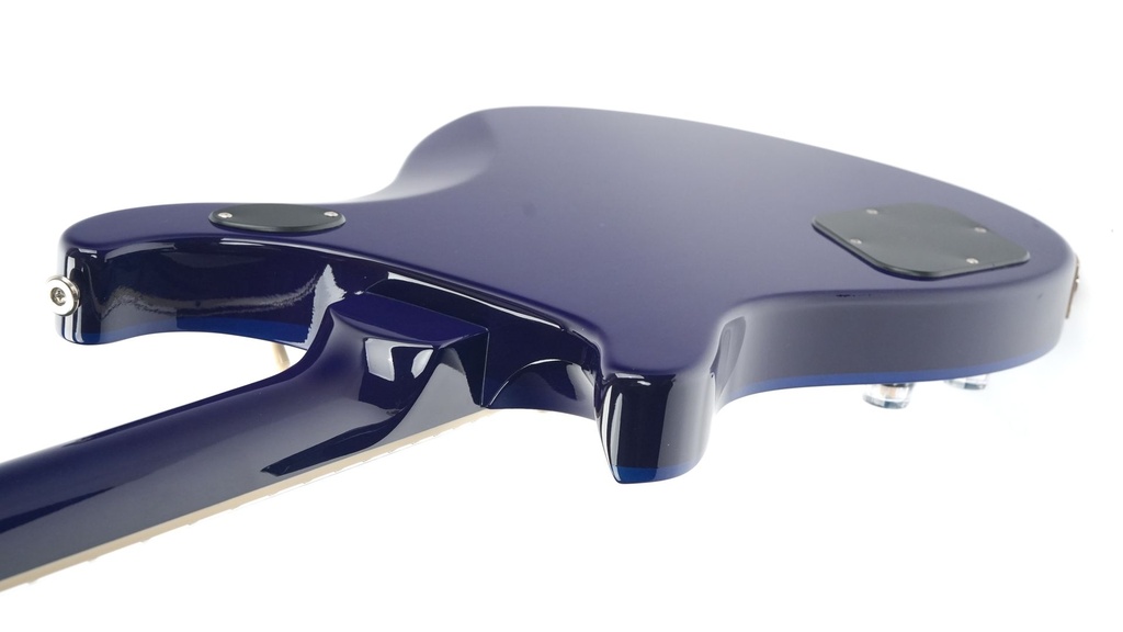 PRS S2 10th Anniversary McCarty 594 LTD Lake Blue 2023-9.jpg