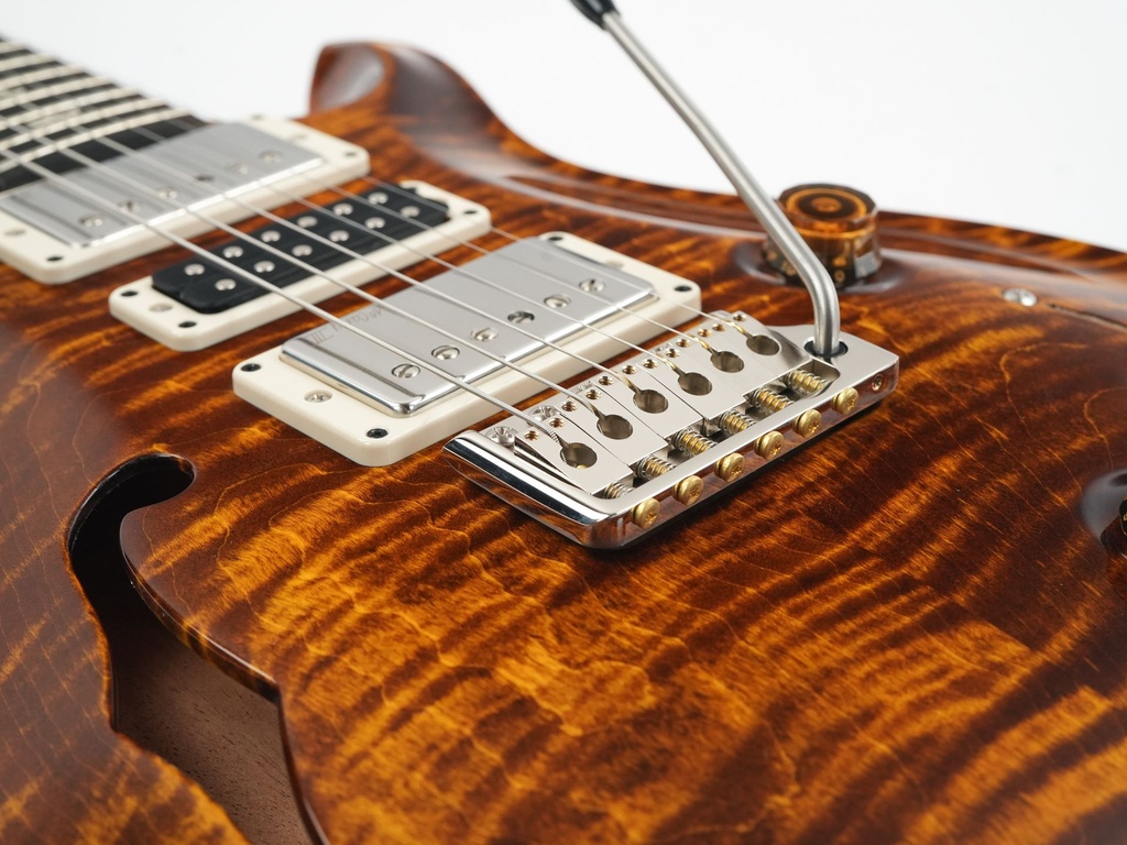 PRS Special 22 Black Gold-10.jpg