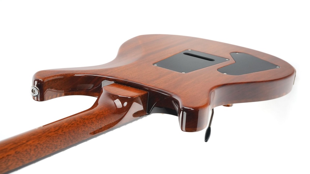 PRS Special 22 Black Gold-9.jpg