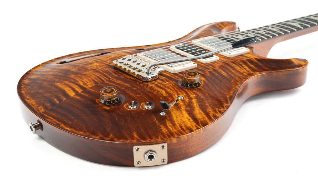 PRS Special 22 Black Gold-11.jpg