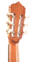 Alhambra Linea Professional Indian Rosewood Cedar B-Stock-5.jpg