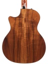 Taylor 314CE Koa LTD ES2 2003-6.jpg