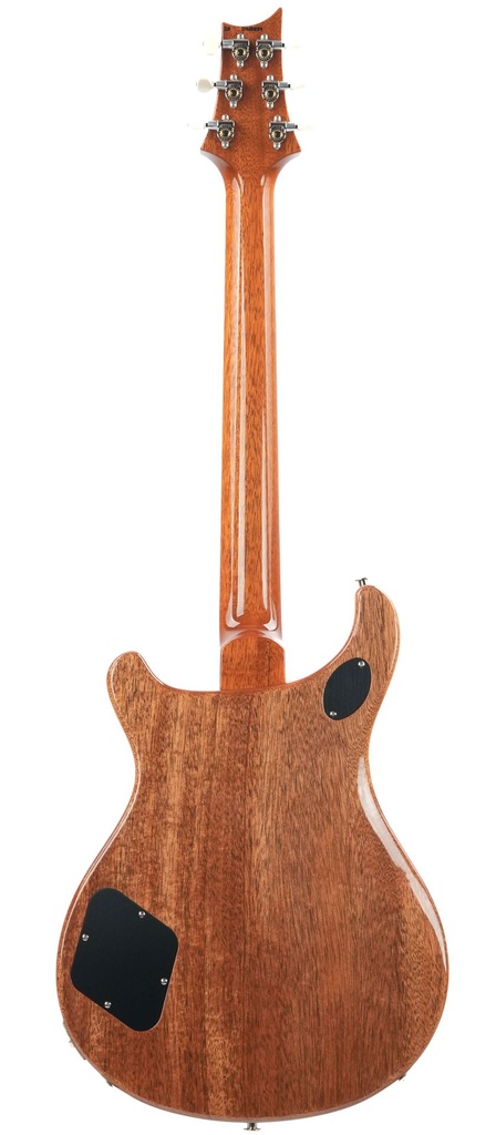 PRS McCarty 594 Aurora Borealis-7.jpg