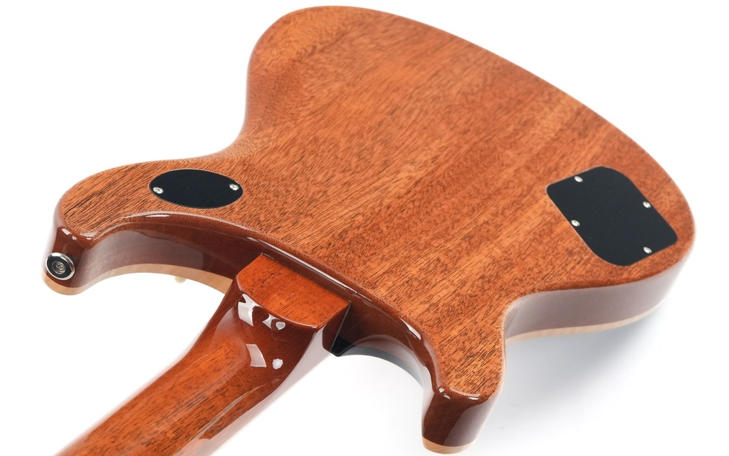 PRS McCarty 594 Aurora Borealis-9.jpg