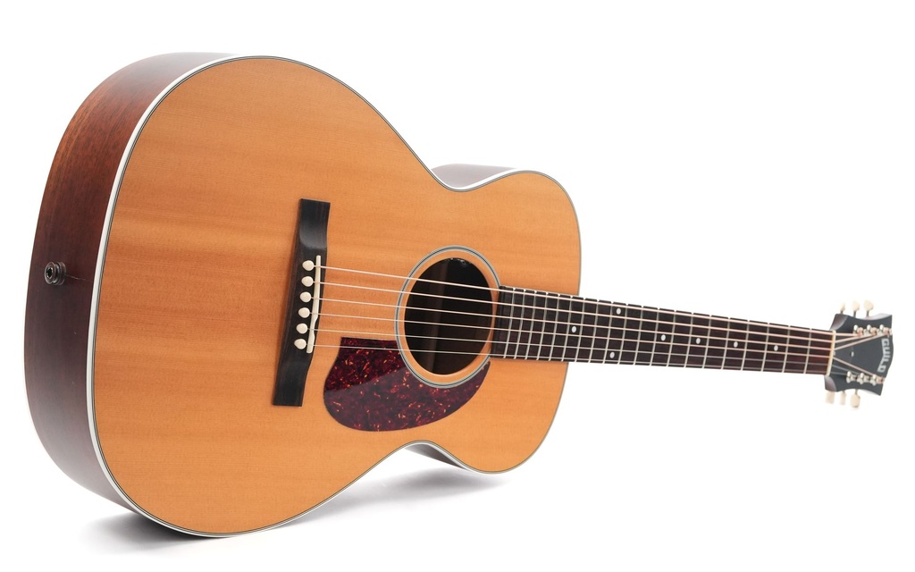 Guild M40E Natural 2019-11.jpg