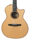 Taylor 714ce-N 2021-3.jpg