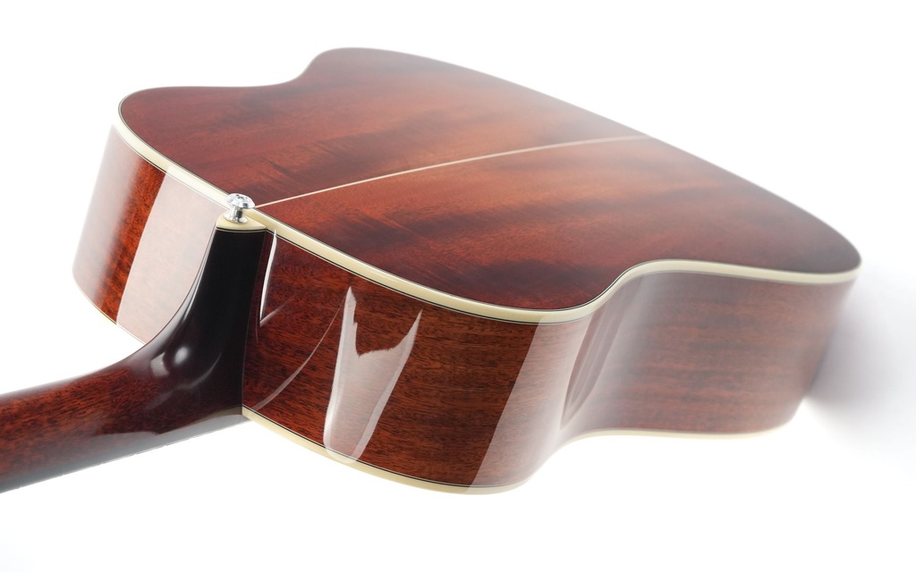 Eastman E10SS-TC TFOA Limited 2022-9.jpg