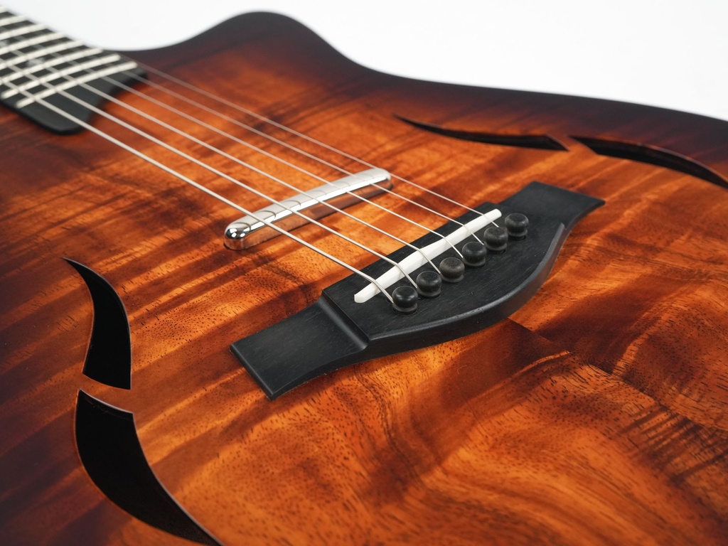 Taylor T5z Classic 2017-10.jpg