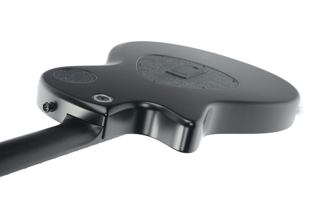 Taylor T5z Classic 2017-9.jpg