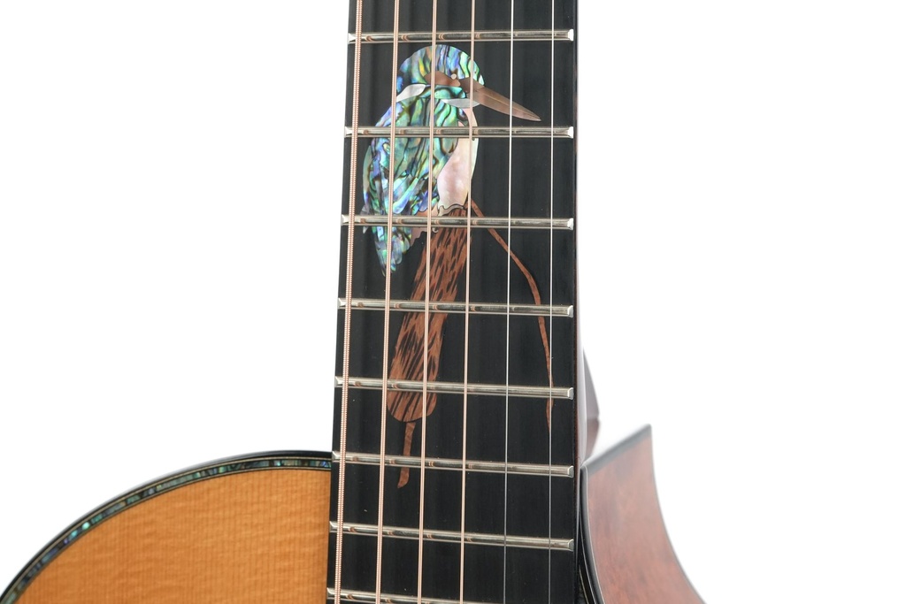 Kevin Ryan 20th Anniversary Paradiso Grand Concert Kingfisher 2021-5.jpg