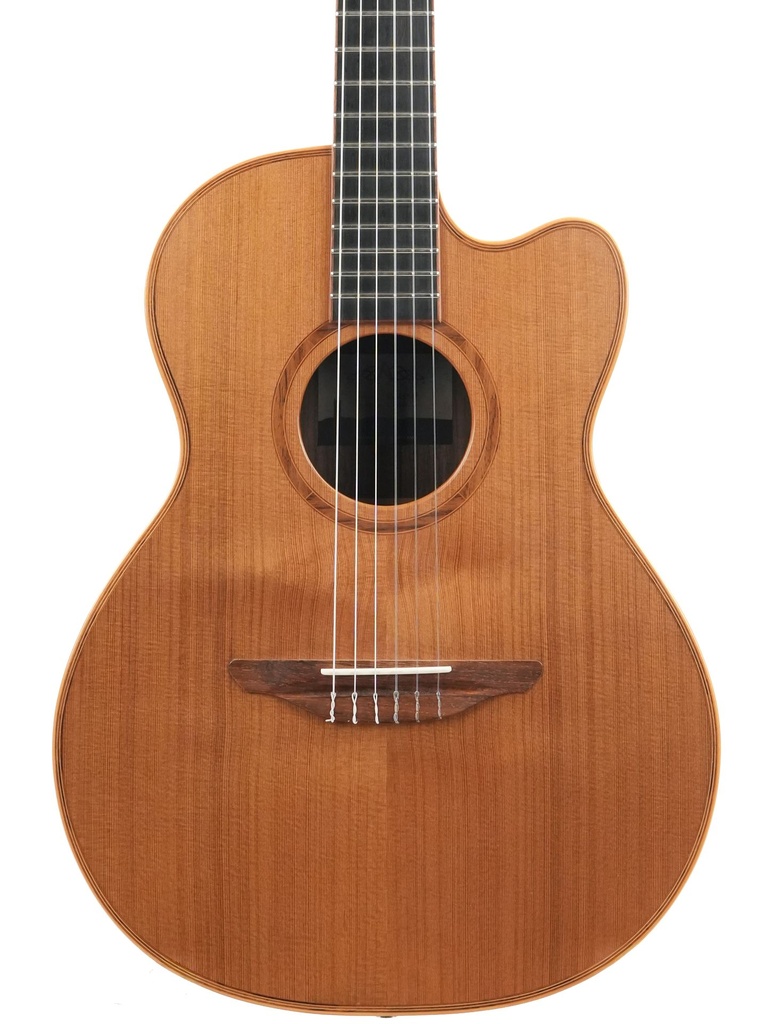 Avalon SL20CN 2018-3.jpg