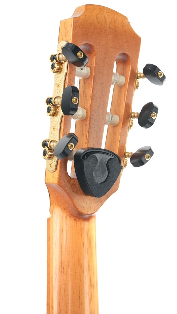 Avalon SL20CN 2018-5.jpg