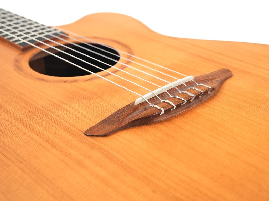 Avalon SL20CN 2018-10.jpg