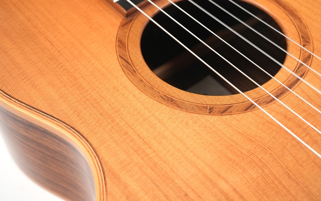 Avalon SL20CN 2018-11.jpg