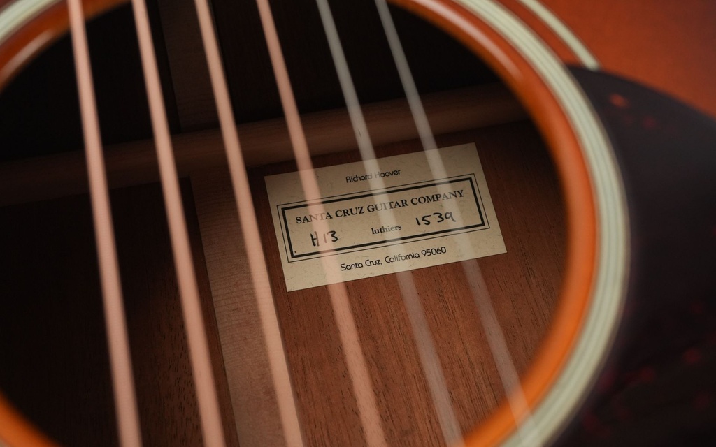 Santa Cruz H13 Sunburst 2015-11.jpg