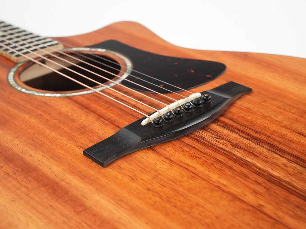 Eastman AC622ce KOA LTD 2022-10.jpg