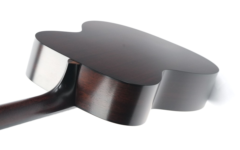 Bourgeois Professional Series Country Boy OM Satin-9.jpg