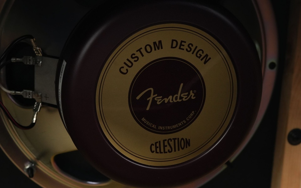 Fender 62 Super Amp-10.jpg