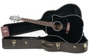 Takamine EF341SC 2019.jpg