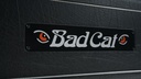 Bad Cat Mod Shop Hot Cat Head-7.jpg