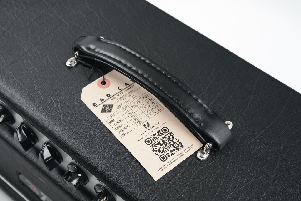 Bad Cat Mod Shop Hot Cat Head-5.jpg