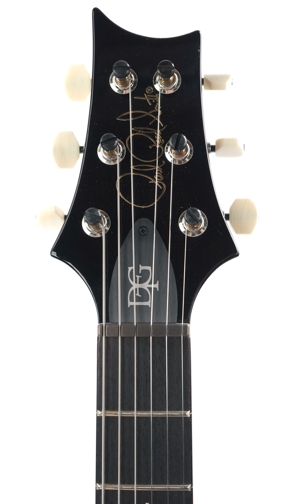 PRS DGT Goldtop Birds-4.jpg
