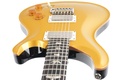 PRS DGT Goldtop Birds-12.jpg