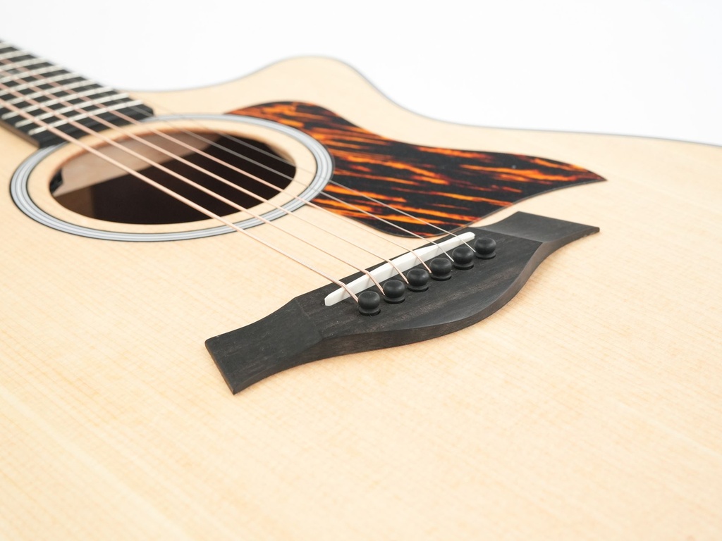 Taylor 314ce 2026-10.jpg