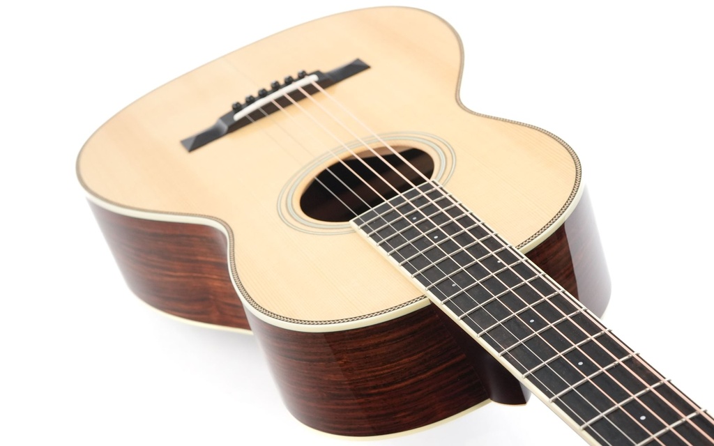 Santa Cruz PJ Cocobolo 2024-8.jpg